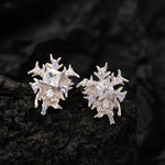 Winter Wonderland Zirconia Earrings


